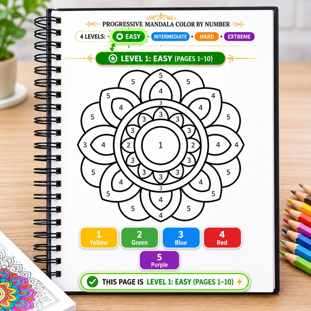 Progressive Complexity Color by Number Mandala Coloring Book
