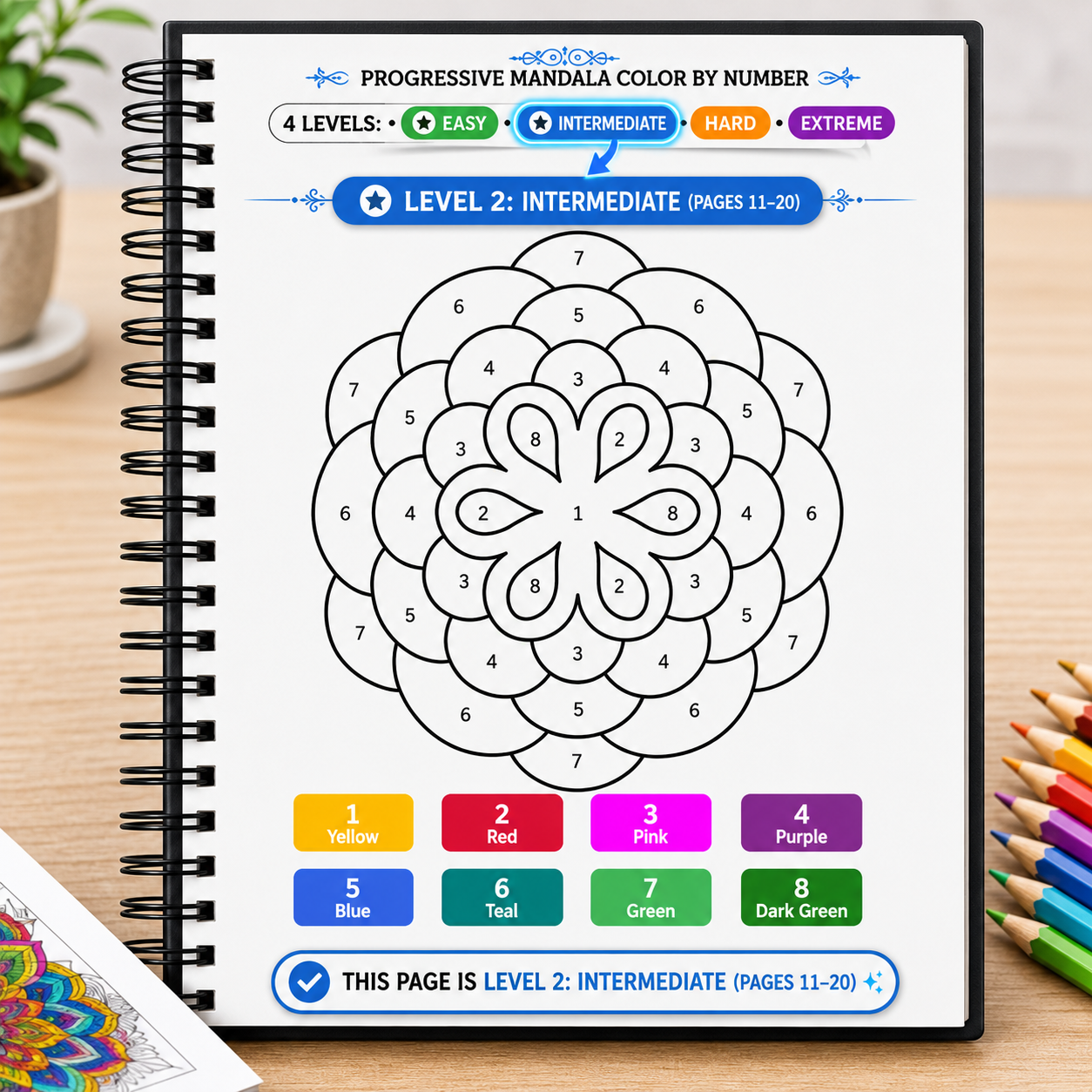 Progressive Complexity Color by Number Mandala Coloring Book
