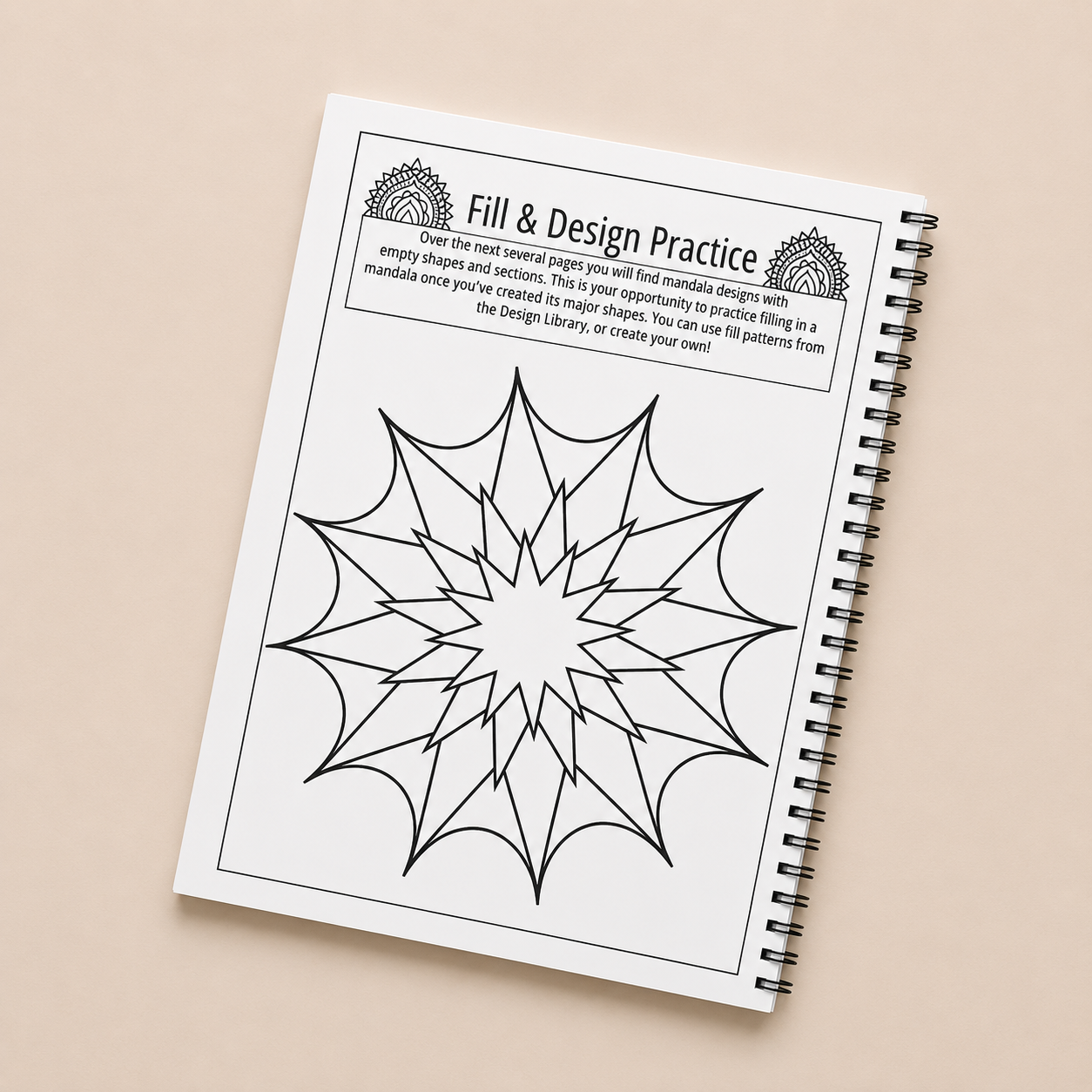 The Complete Mandala Learning Bundle