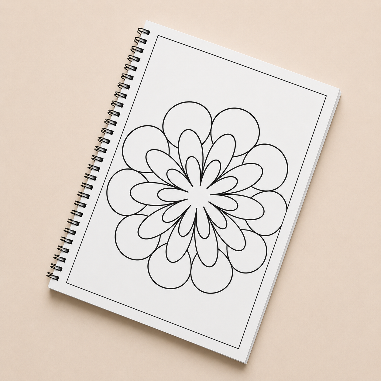 The Complete Mandala Learning Bundle